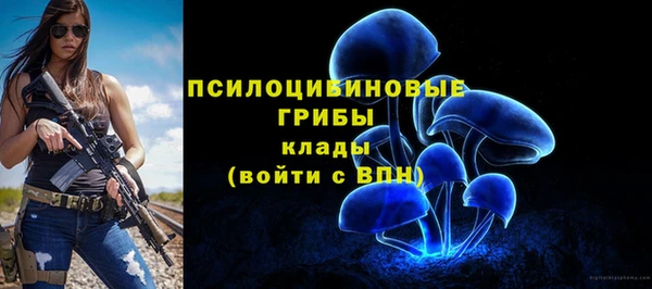 каннабис Дмитровск