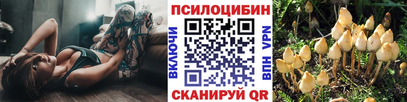 Псилоцибиновые грибы Psilocybe  Купить  Питкяранта 